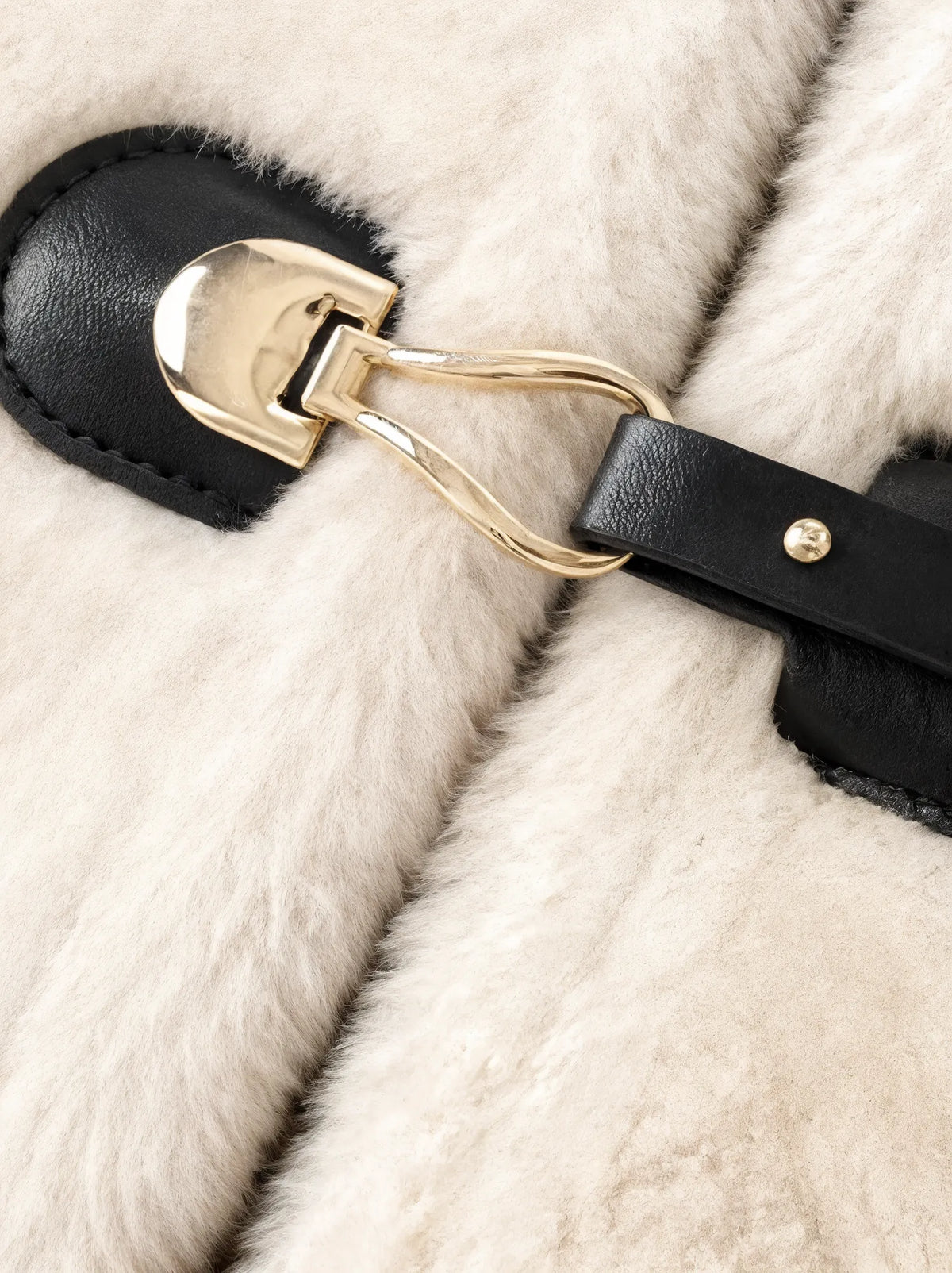 Close-up of a black leather strap with a gold clasp on a white fur surface